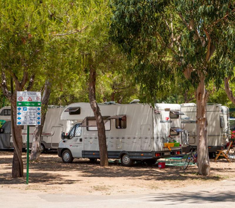 Camper parcheggiati tra gli alberi in un'area di campeggio ombreggiata.