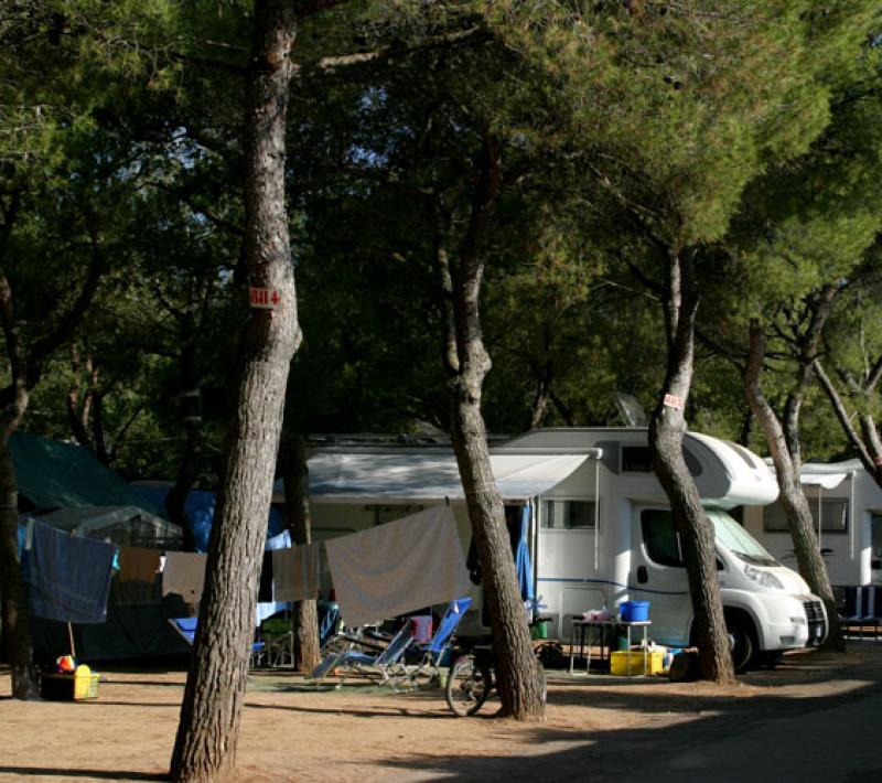 Camper parcheggiati tra gli alberi in un campeggio, con sedie e asciugamani stesi.