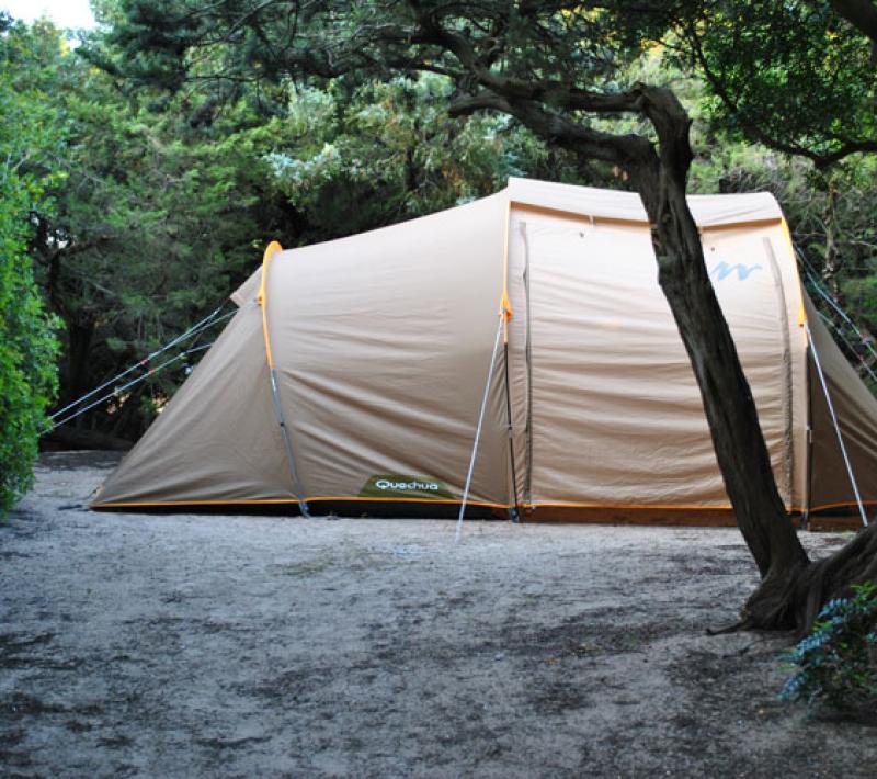 Tenda Quechua montata in una radura circondata da alberi e vegetazione.