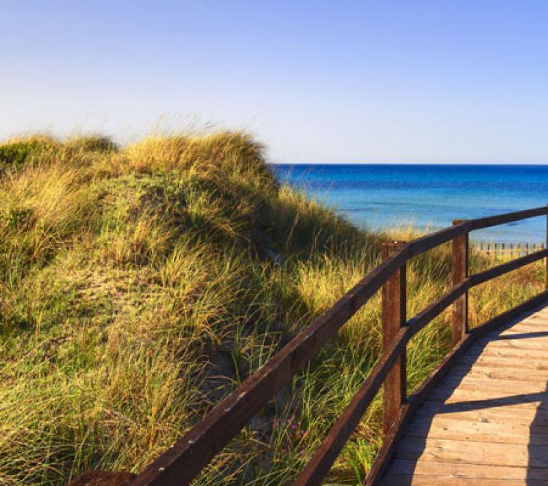 Passerella in legno tra dune di sabbia verso il mare blu.