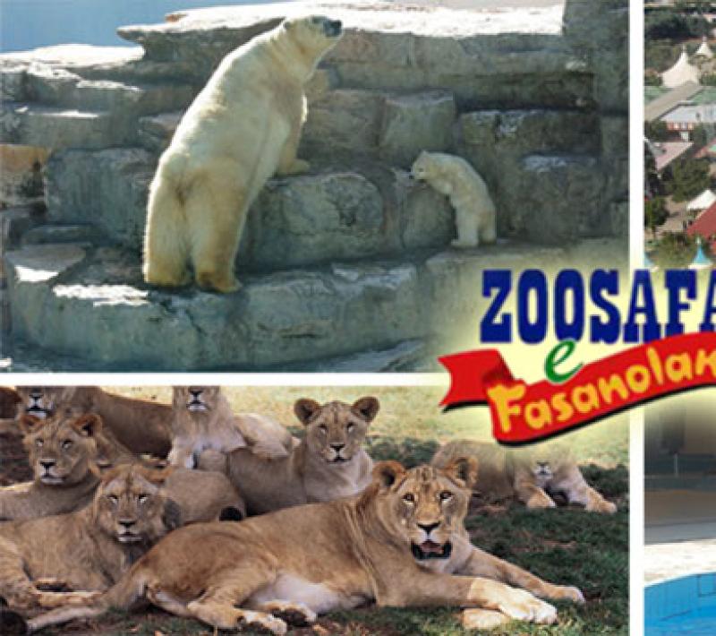 Zoosafari e Fasanolandia: avventura tra animali esotici e divertimenti per tutta la famiglia.